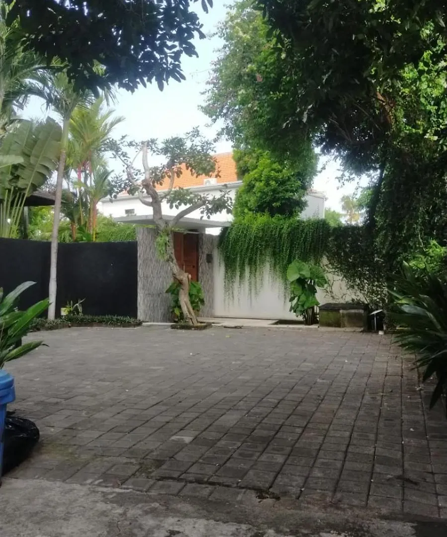 Villa Anema Umalas Seminyak